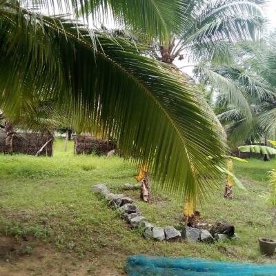 House for sale in Kilinochchchi Aanaivilunthan area