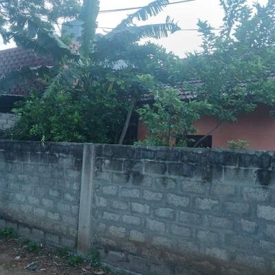 யாழ்.பருத்தித்துறை சாரையடியில்  காணி #மேற்கு வாசல் வீட்டுடன் விற்பனைக்கு..