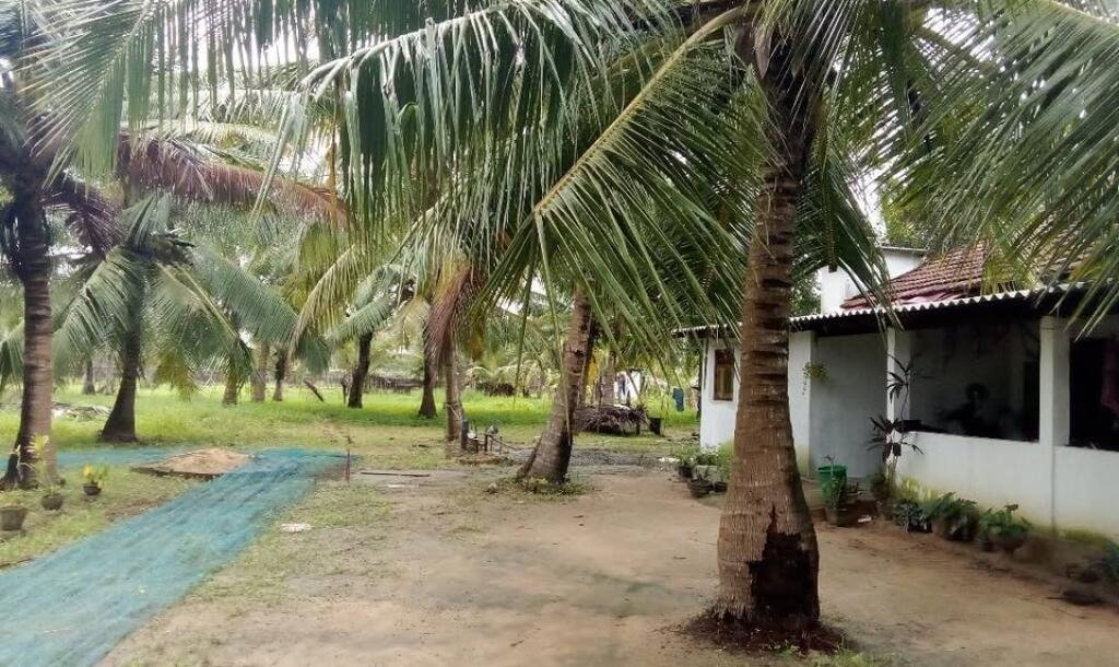 House for sale in Kilinochchchi Aanaivilunthan area-8