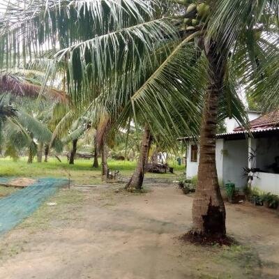 House for sale in Kilinochchchi Aanaivilunthan area