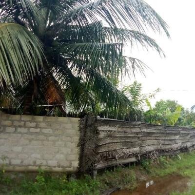 House for sale in Kilinochchchi Aanaivilunthan area