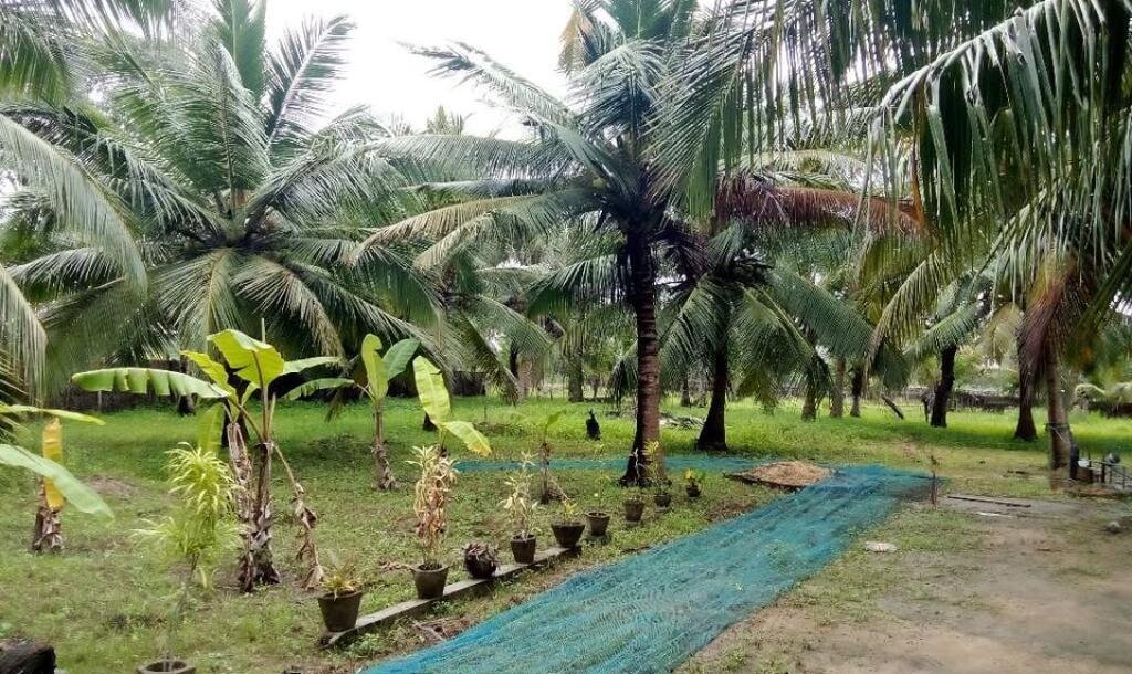 House for sale in Kilinochchchi Aanaivilunthan area-6