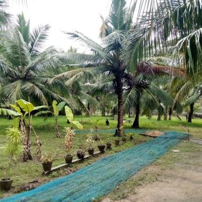 House for sale in Kilinochchchi Aanaivilunthan area