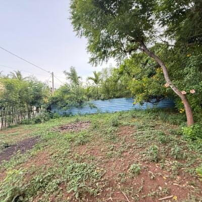 உரும்பிராய் வீதியில் வீட்டுடன் காணி விற்பனைக்கு-4