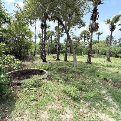 காரைநகரில் காணி விற்பனைக்கு-2