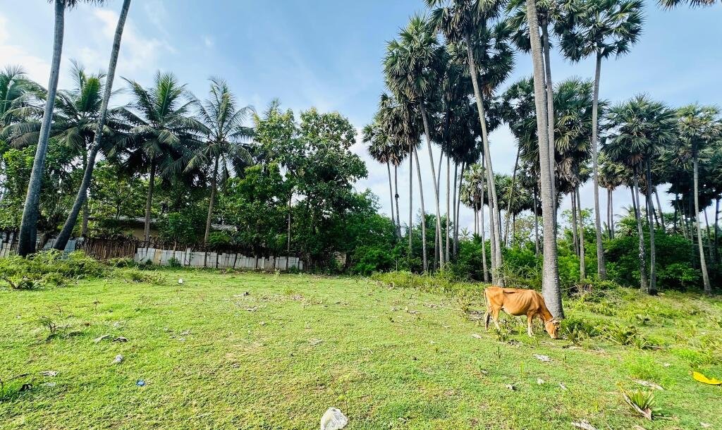 சங்கானை முருகமூர்த்தி கோவிலுக்கு அருகாமையில் காணி விற்பனைக்கு-3