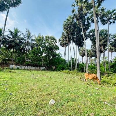 சங்கானை முருகமூர்த்தி கோவிலுக்கு அருகாமையில் காணி விற்பனைக்கு-3
