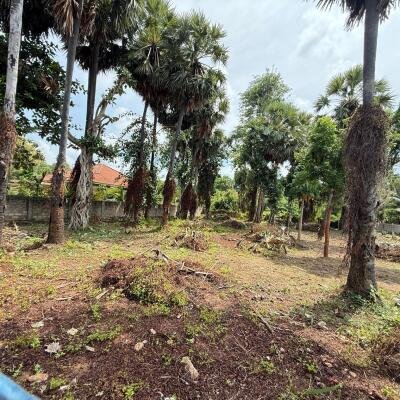 தெல்லிப்பளையில் 4 பரப்பு வீதியோரமாக காணி விற்பனைக்கு-3