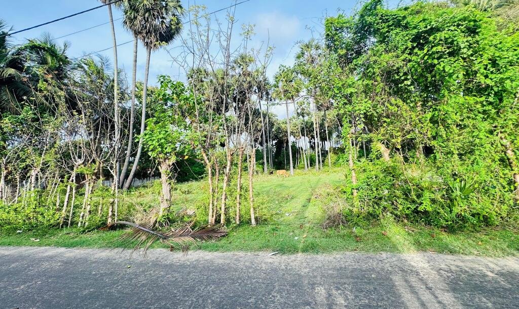 சங்கானை முருகமூர்த்தி கோவிலுக்கு அருகாமையில் காணி விற்பனைக்கு-2