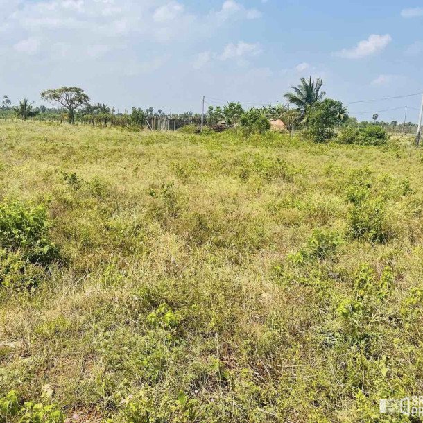 Land For Sale In Achchuveli KovilPadu Pathmeani Jaffna-2