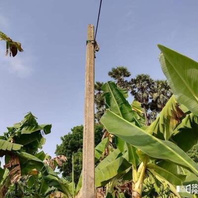 17 plots of land for sale at a distance of 700m from Ilavalai Periyavilan Junction to Thellippahi Kabpet road.-2