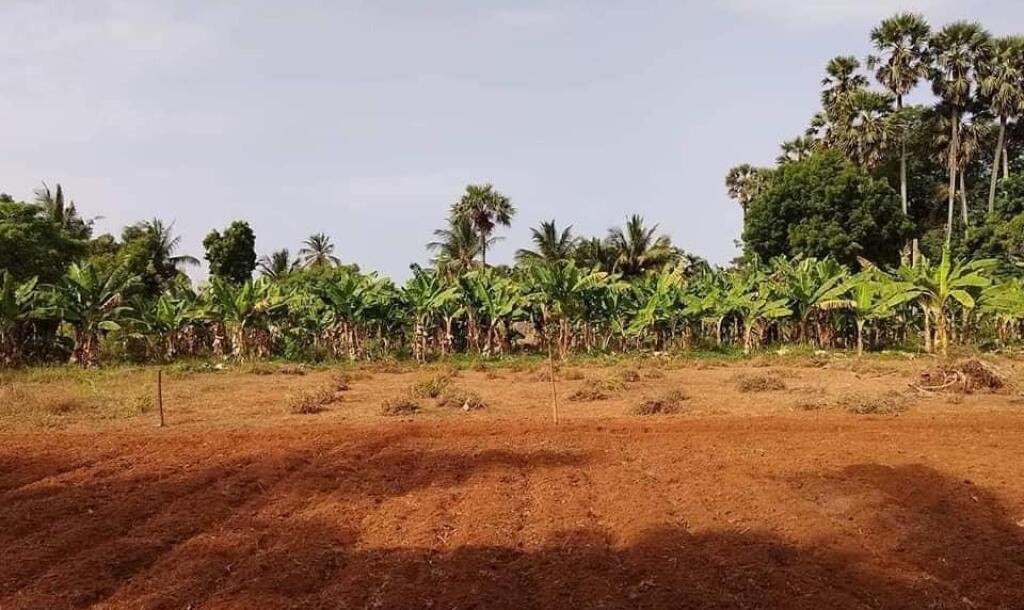 17 plots of land for sale at a distance of 700m from Ilavalai Periyavilan Junction to Thellippahi Kabpet road.-3