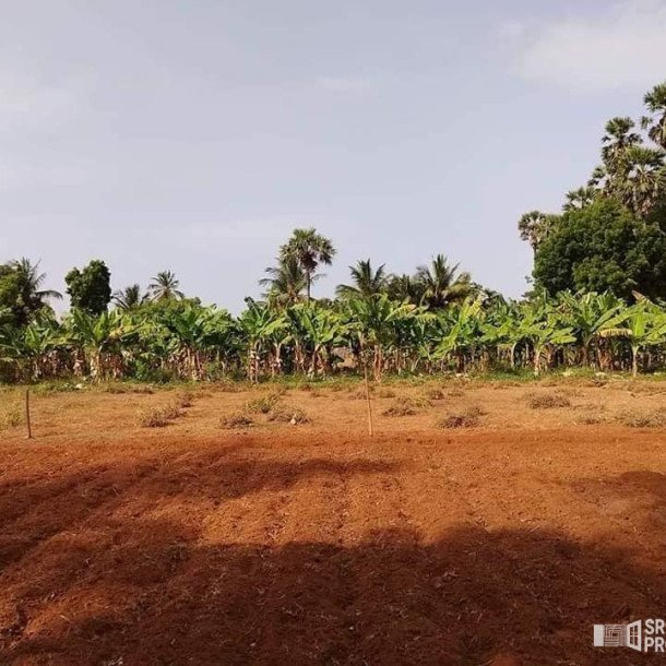 17 plots of land for sale at a distance of 700m from Ilavalai Periyavilan Junction to Thellippahi Kabpet road.-3