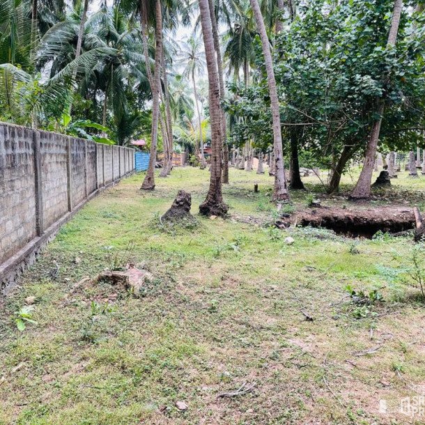 8 acres of land available for sale in kantharodai Jaffna-1