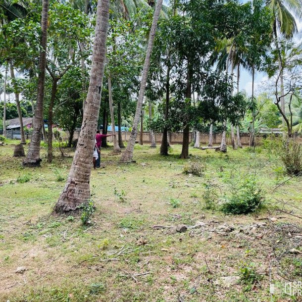 8 acres of land available for sale in kantharodai Jaffna-2