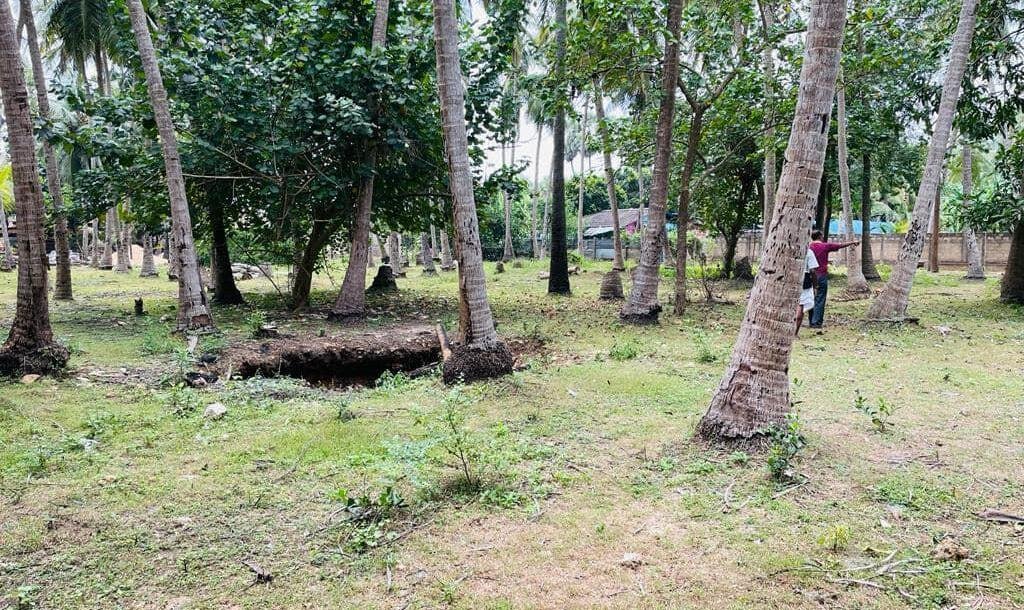 8 acres of land available for sale in kantharodai Jaffna-3