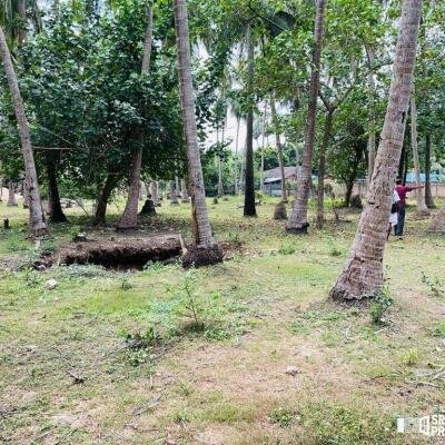 8 acres of land available for sale in kantharodai Jaffna-3