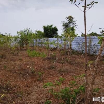 2 plots of Land for Sale at 700 meters from Hospital in Thellipallai