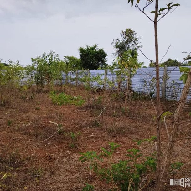 2 plots of Land for Sale at 700 meters from Hospital in Thellipallai-1