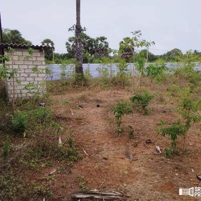 2 plots of Land for Sale at 700 meters from Hospital in Thellipallai