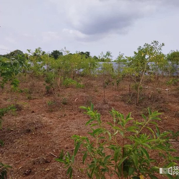 2 plots of Land for Sale at 700 meters from Hospital in Thellipallai-4