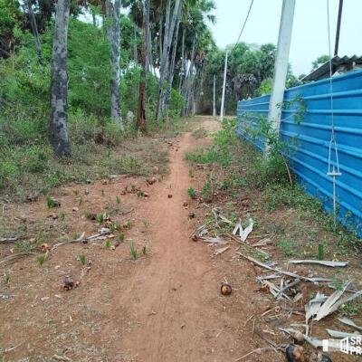 2 plots of Land for Sale at 700 meters from Hospital in Thellipallai