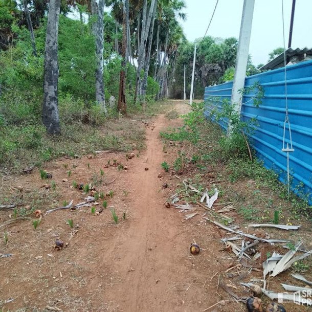 2 plots of Land for Sale at 700 meters from Hospital in Thellipallai-5