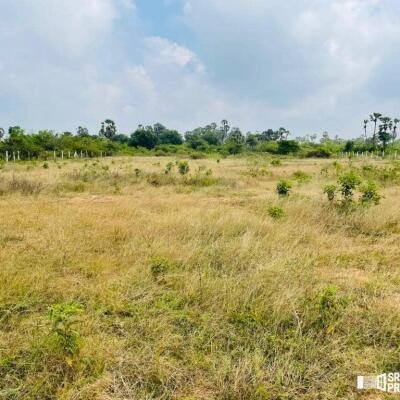 Land For Sale In  Thellipallai Veemagamam Jaffna-2