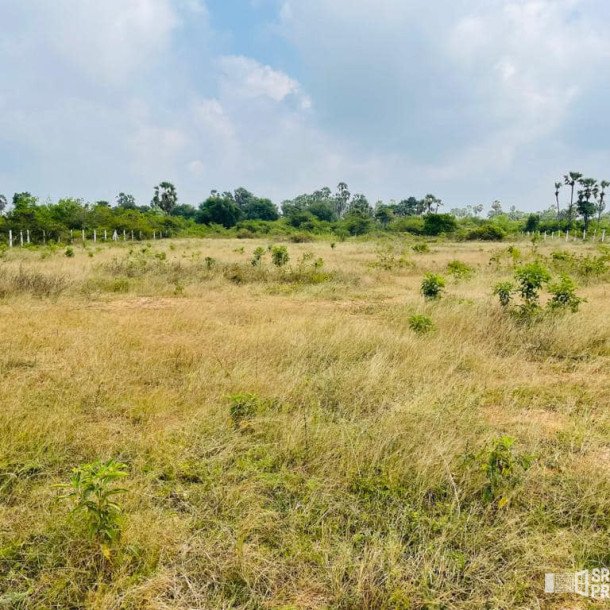 Land For Sale In  Thellipallai Veemagamam Jaffna-2