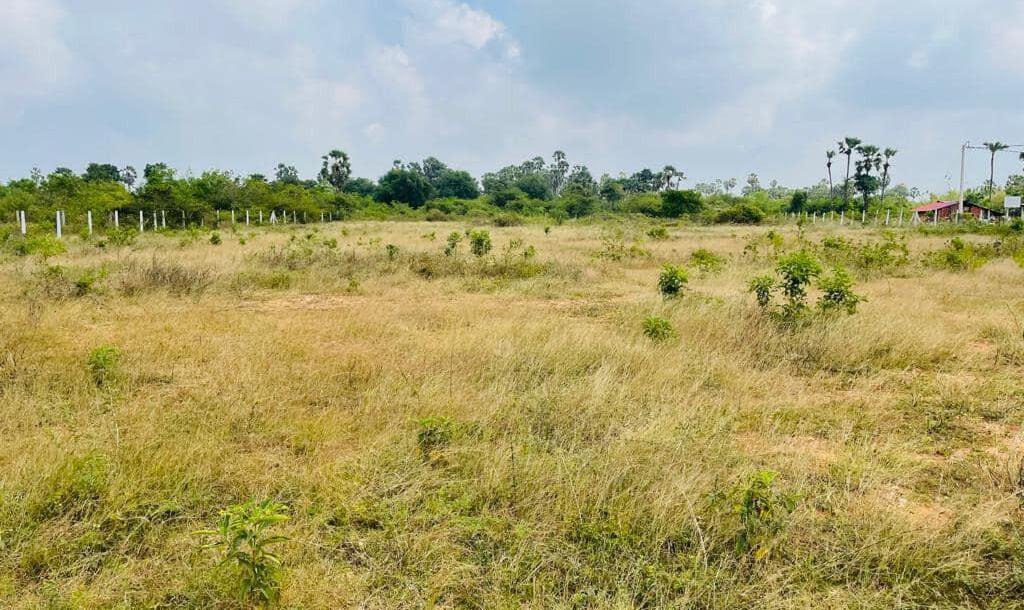 Land For Sale In  Thellipallai Veemagamam Jaffna-3