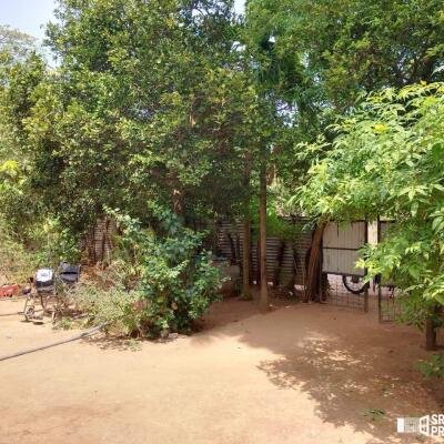 With 2 acres of land in Urealu, Jaffna For sale  & New house for sale