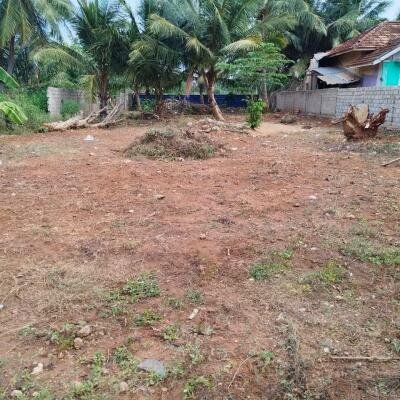 Marudanarmadam - Manippai road 3 area road side land for sale