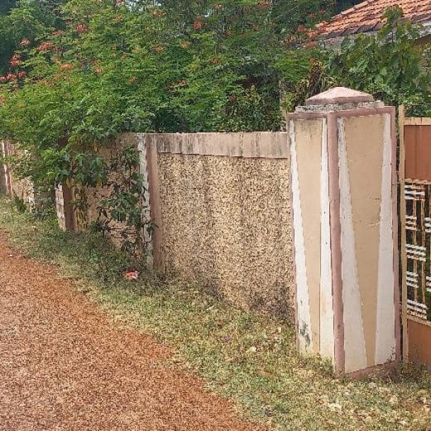 3 bedroom house for sale on 11 acres of land in Meesalai Puthur Junction Vembrai-7