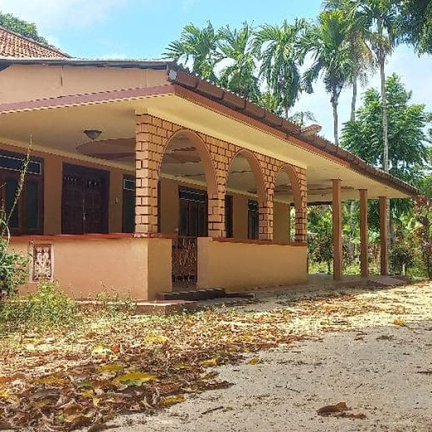 3 bedroom house for sale on 11 acres of land in Meesalai Puthur Junction Vembrai-9