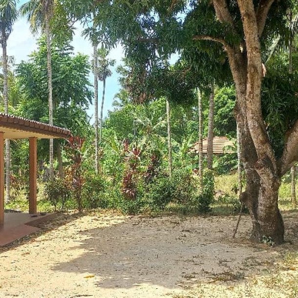 3 bedroom house for sale on 11 acres of land in Meesalai Puthur Junction Vembrai-11