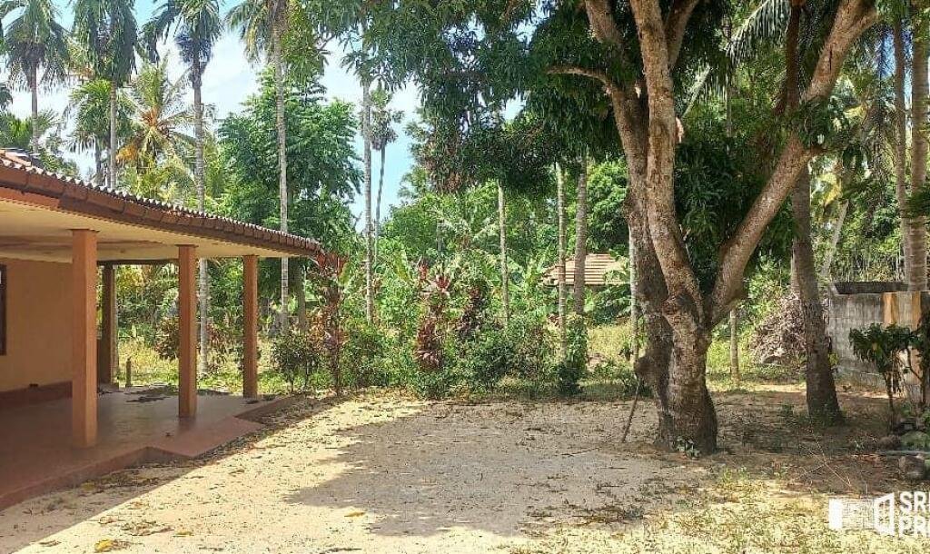 3 bedroom house for sale on 11 acres of land in Meesalai Puthur Junction Vembrai-5