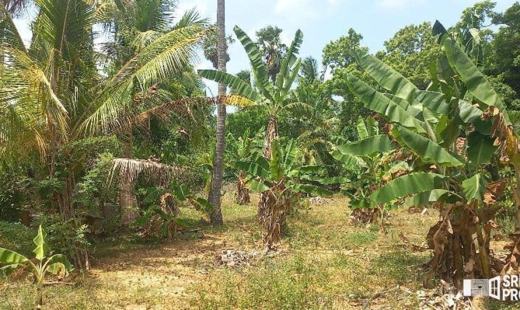 3 bedroom house for sale on 11 acres of land in Meesalai Puthur Junction Vembrai-6
