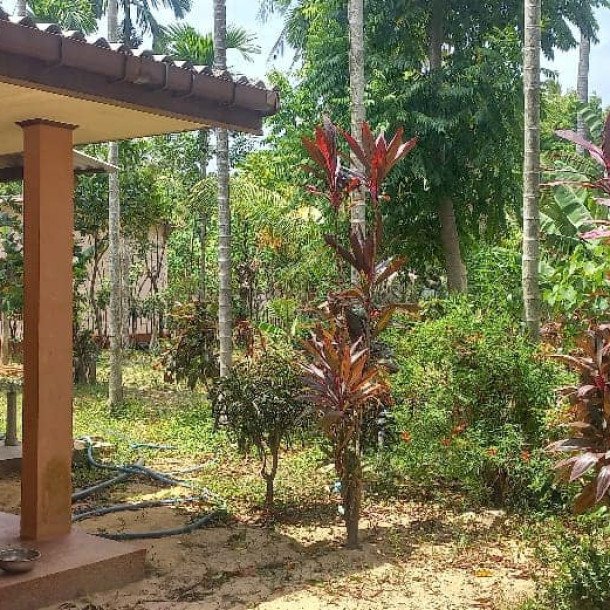 3 bedroom house for sale on 11 acres of land in Meesalai Puthur Junction Vembrai-13