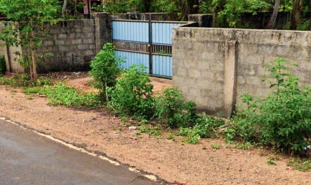 5 area 7 pit land with frontage 80 feet along Rasapada road going to Neerveli-Siruppitti-Nilawari for sale-1