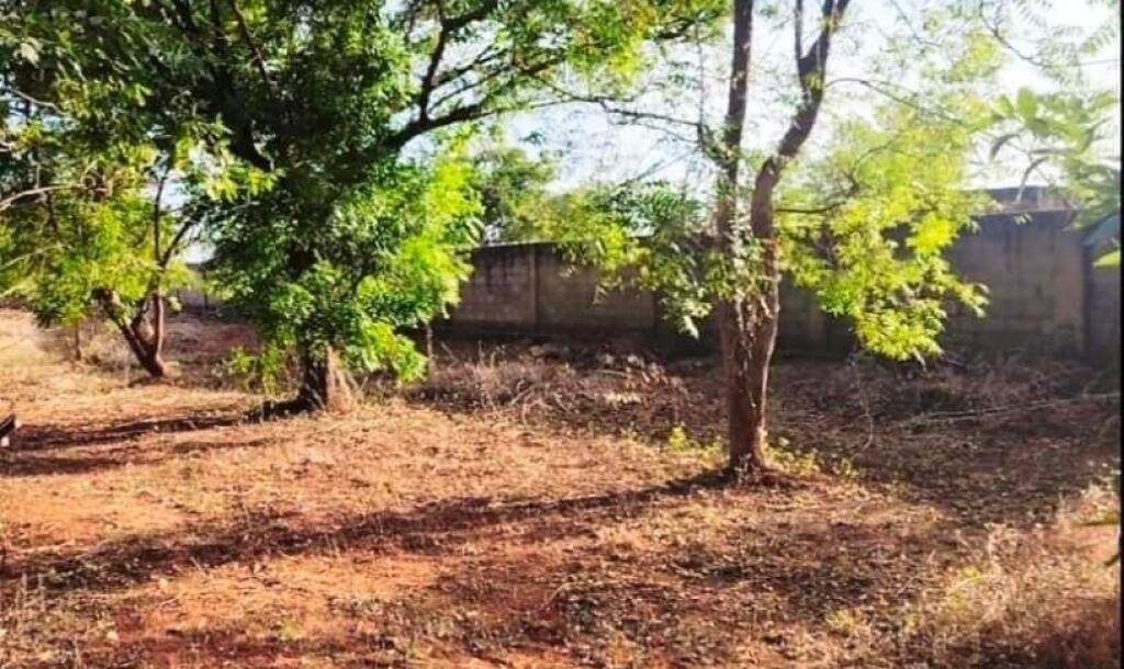 5 area 7 pit land with frontage 80 feet along Rasapada road going to Neerveli-Siruppitti-Nilawari for sale-3