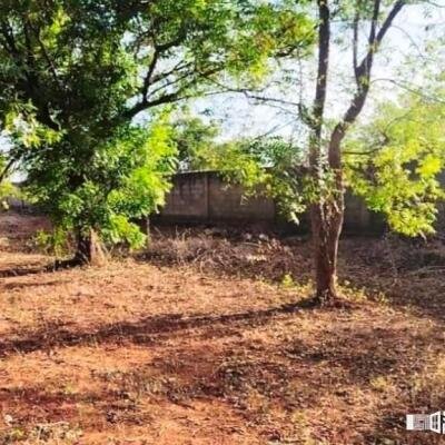 5 area 7 pit land with frontage 80 feet along Rasapada road going to Neerveli-Siruppitti-Nilawari for sale