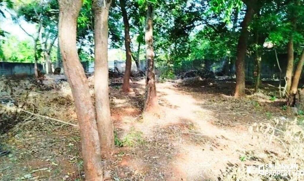 5 area 7 pit land with frontage 80 feet along Rasapada road going to Neerveli-Siruppitti-Nilawari for sale-4