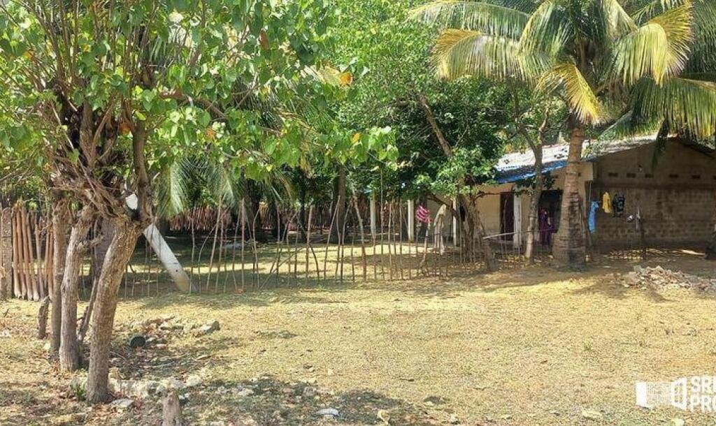 6 plot of land and house for sale at 1.5 km opposite library in Nunavail Jaffna-1