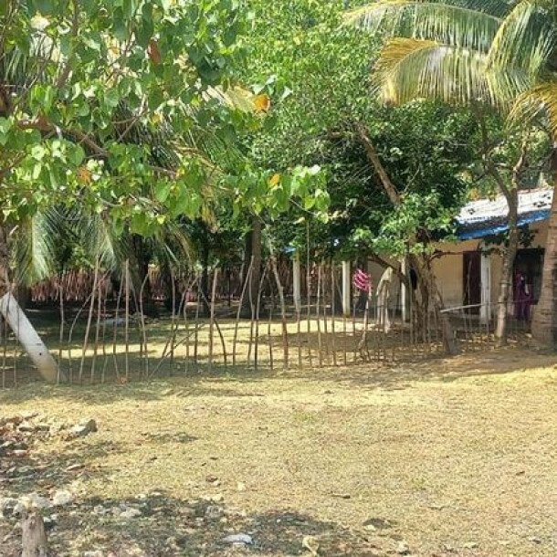 6 plot of land and house for sale at 1.5 km opposite library in Nunavail Jaffna-1