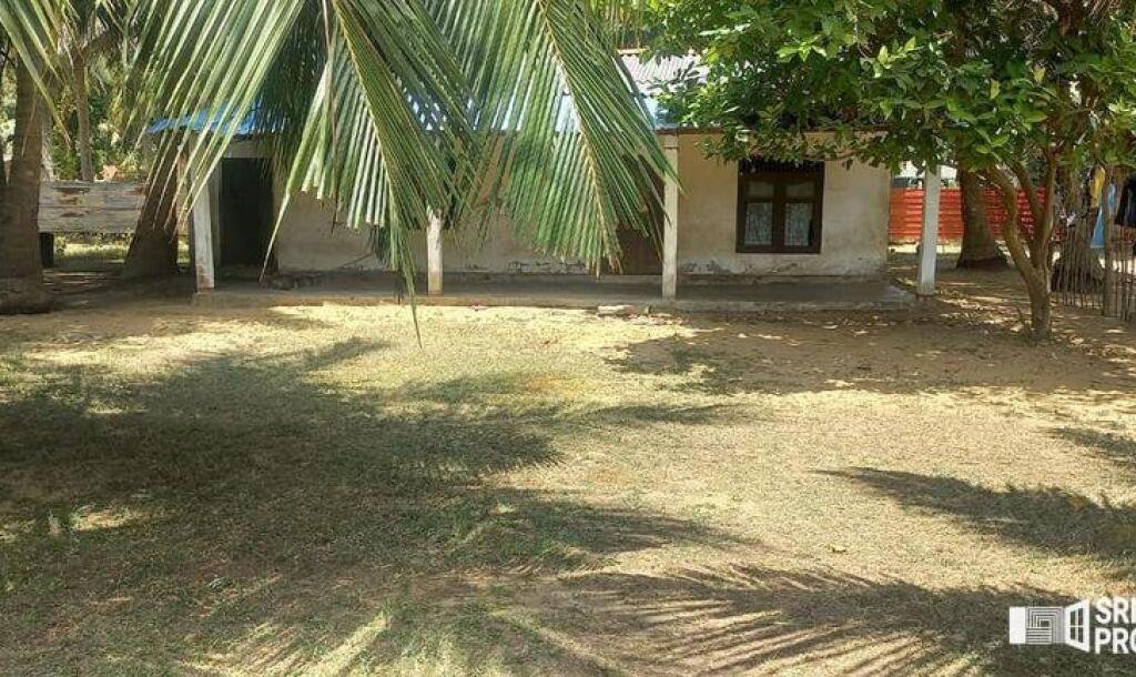 6 plot of land and house for sale at 1.5 km opposite library in Nunavail Jaffna-2