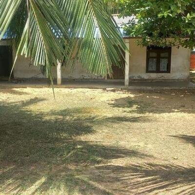 6 plot of land and house for sale at 1.5 km opposite library in Nunavail Jaffna