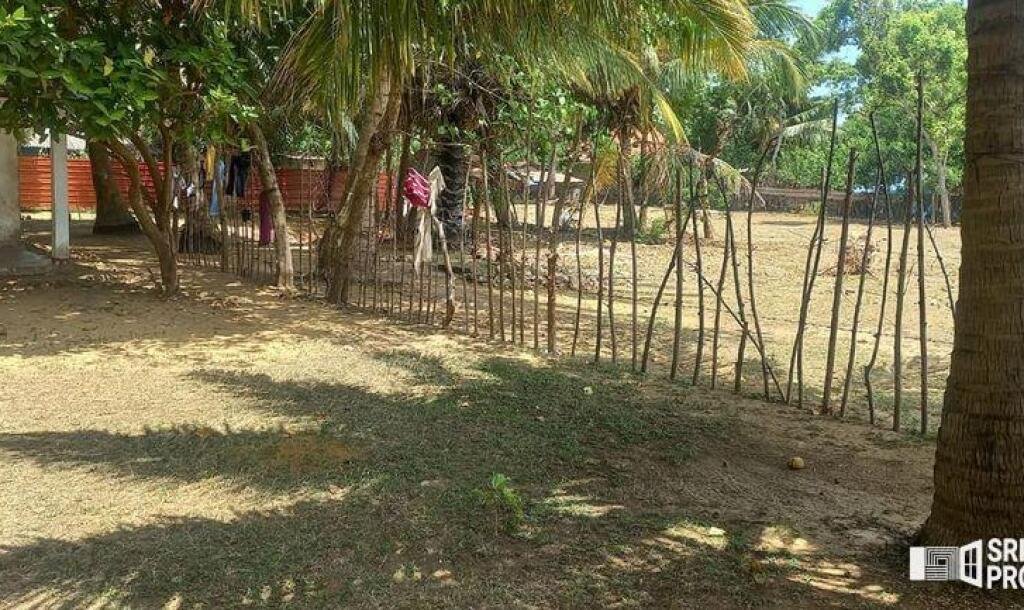 6 plot of land and house for sale at 1.5 km opposite library in Nunavail Jaffna-4