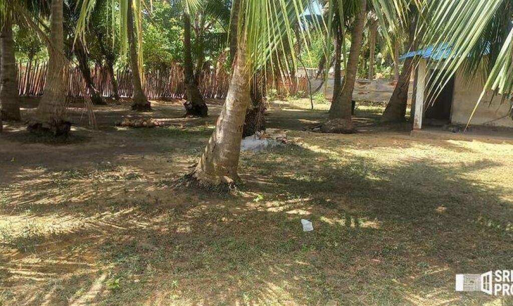 6 plot of land and house for sale at 1.5 km opposite library in Nunavail Jaffna-5