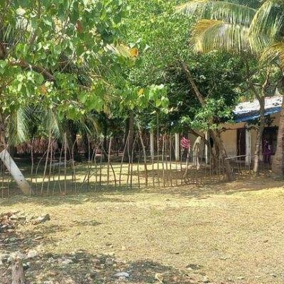 6 plot of land and house for sale at 1.5 km opposite library in Nunavail Jaffna