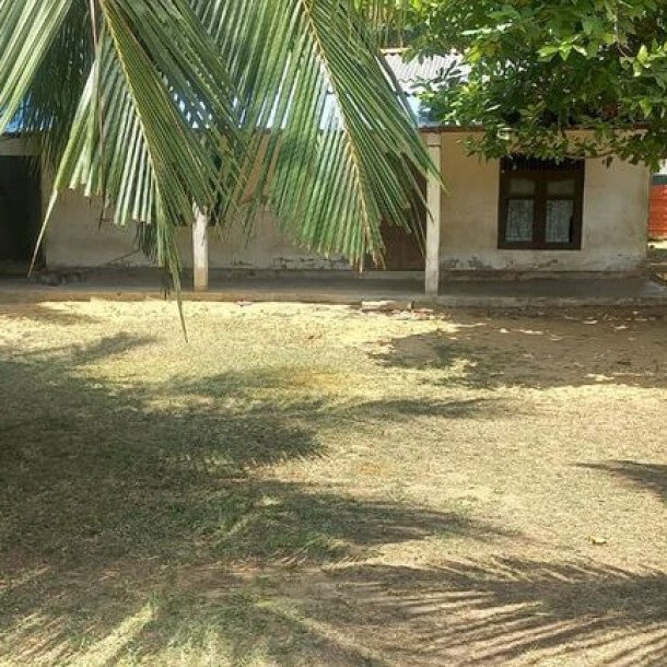6 plot of land and house for sale at 1.5 km opposite library in Nunavail Jaffna-7